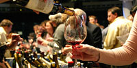 Wine tasting & Vineyards